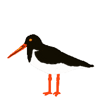 Illustration Bird Sticker by Please Enjoy This!