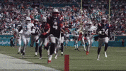 Football Nfl GIF by New England Patriots