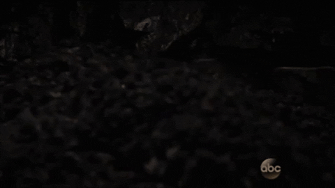 lilsciencequeen giphygifmaker lilsciencequeen GIF