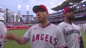 Los Angeles Angels Sport GIF by MLB