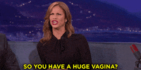 andrea savage conan obrien GIF by Team Coco