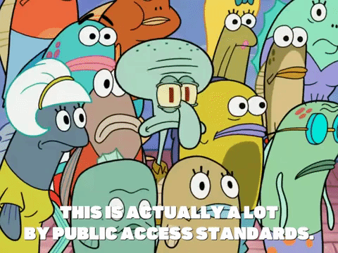 Episode 1 GIF by SpongeBob SquarePants