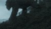 Game Fps GIF by Call of Duty