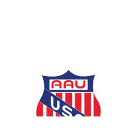 Usa Alumni Sticker by aausports