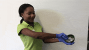 fun no GIF by 360°zahn