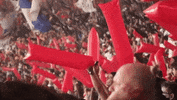 flamengo st nrn stfla nacaocrf GIF