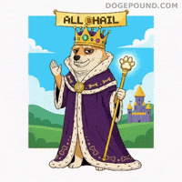 Proud Shiba Inu GIF by Doge Pound
