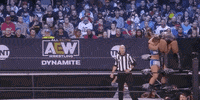 Aew On Tnt The Bunny GIF by All Elite Wrestling on TNT
