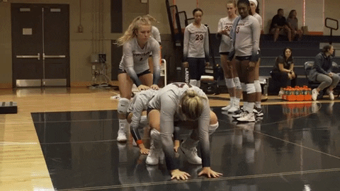 Sport Celebration GIF by Virginia Athletics