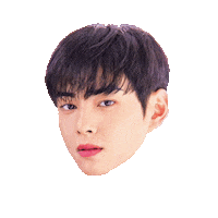 eunulovebot kpop kdrama astro eunwoo Sticker