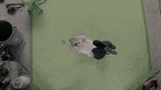 In Love Awww GIF by Matt Berninger
