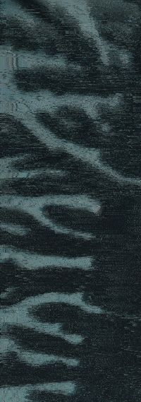 glitch GIF by Liaizon Wakest