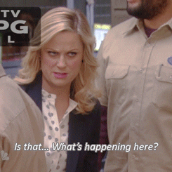 parks and recreation amy phoeler GIF