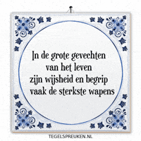 Respect Wijsheid GIF by Tegelspreuken.nl