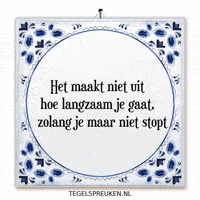 Humor Nl GIF by Tegelspreuken.nl