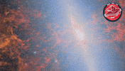 James Webb Nasa GIF by ESA Webb Space Telescope