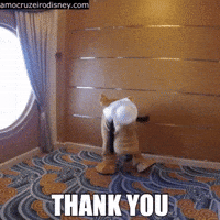 Disney Cruise Thank You GIF by Amo Cruzeiro Disney
