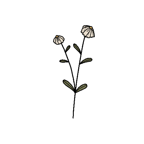 Flower Spring Sticker