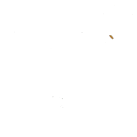 Bug Sticker by mogrillcoke