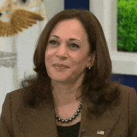 Kamala Harris Smile GIF by The Democrats