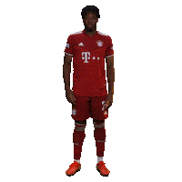 fcbayerncampus football soccer fussball fcb Sticker