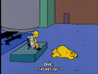 homer simpson GIF