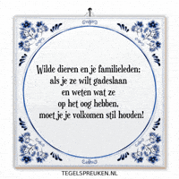 Nl Spanning GIF by Tegelspreuken.nl