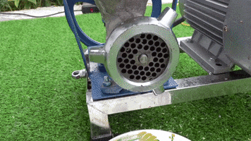 ExperimenMeatGrinder funny colorful meat eggs GIF