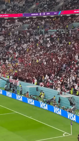 Qatar Fans Cheer at World Cup Matchup Versus Netherlands