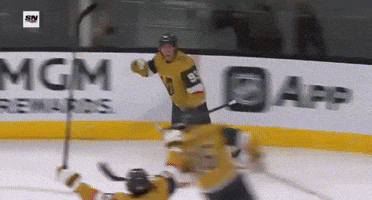 Vegas Golden Knights Hockey GIF
