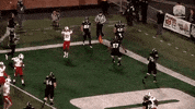celebrate ohio bobcats GIF by Ohio Football