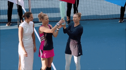 Zvonareva Siegemund GIF