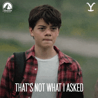 Paramount Network GIF by Yellowstone