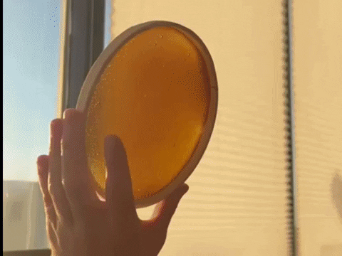 alicejsowa giphyupload GIF