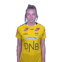 Champions League Respect Sticker by LSK Kvinner FK