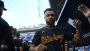Baseball Fist Bump GIF by Pittsburgh Pirates