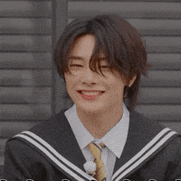 Stray Kids Skz GIF