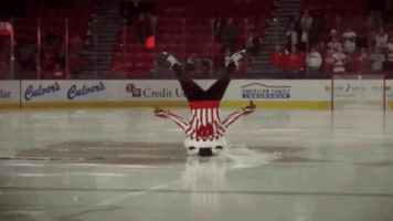Wisconsin Badgers Hockey GIF by uwmadison