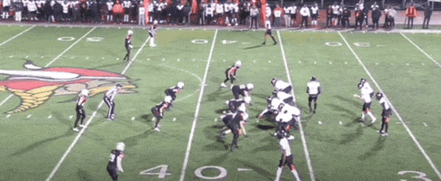 ALuckett giphyupload GIF