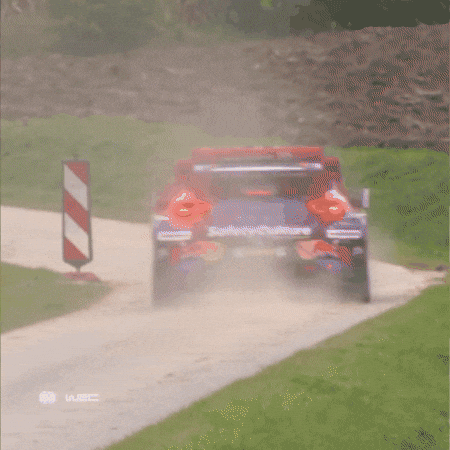 Racing Driving GIF by FIA World Rally Championship