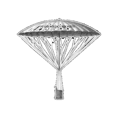 Flying Old Fashioned Sticker by The Wild Curiosity