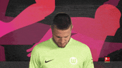 Vfl Wolfsburg Football GIF by Bundesliga