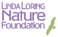 Nantucket Sticker by Linda Loring Nature Foundation