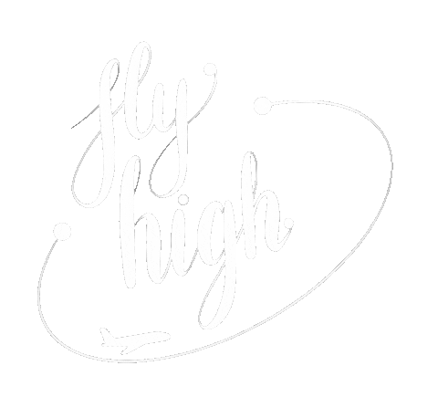 Fly Sticker