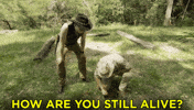 australia conan GIF by Team Coco