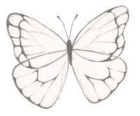 Life Coach Butterfly Sticker by Your Inner Babe