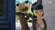 Chat Noir Mlb GIF