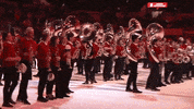 GIF by Milwaukee Admirals