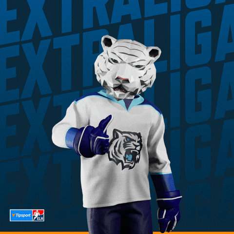 Hockey Hokej GIF by Tipsport extraliga