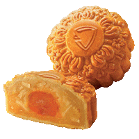 Moon Cake Fall Sticker by TeamJoined